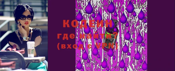 спиды Пересвет