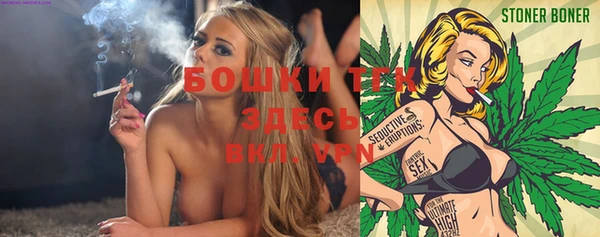 спиды Пересвет
