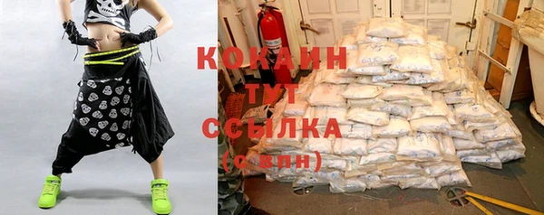 ГАЛЛЮЦИНОГЕННЫЕ ГРИБЫ Пестово