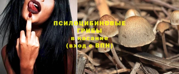 ГАЛЛЮЦИНОГЕННЫЕ ГРИБЫ Пестово
