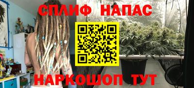 крисы Берёзовский