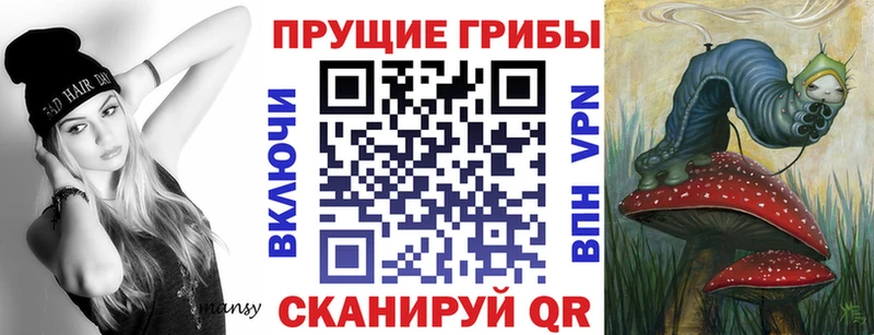 Псилоцибиновые грибы Cubensis  где купить   KRAKEN ссылки  Владимир 