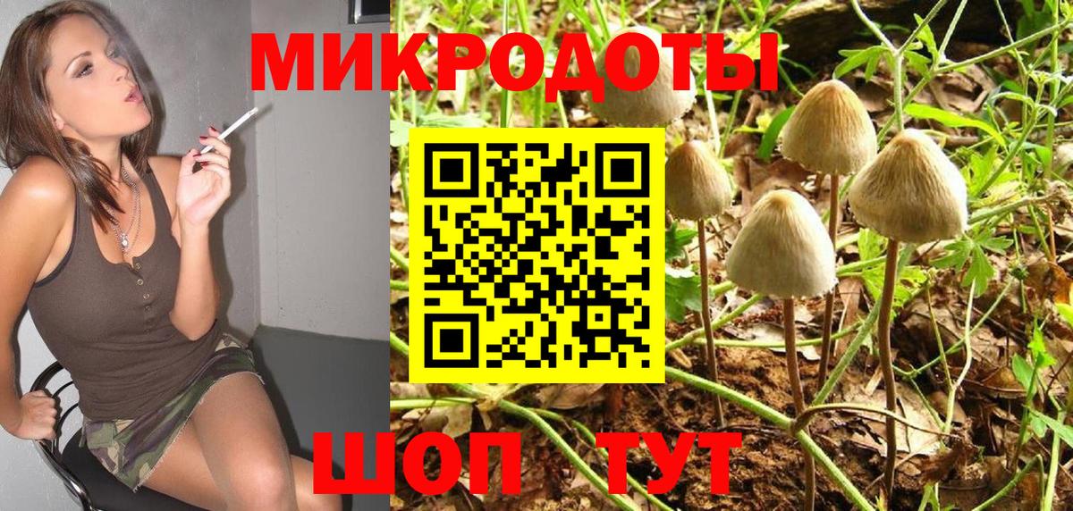Галлюциногенные грибы Cubensis  Владимир  Псилоцибиновые грибы MAGIC MUSHROOMS 