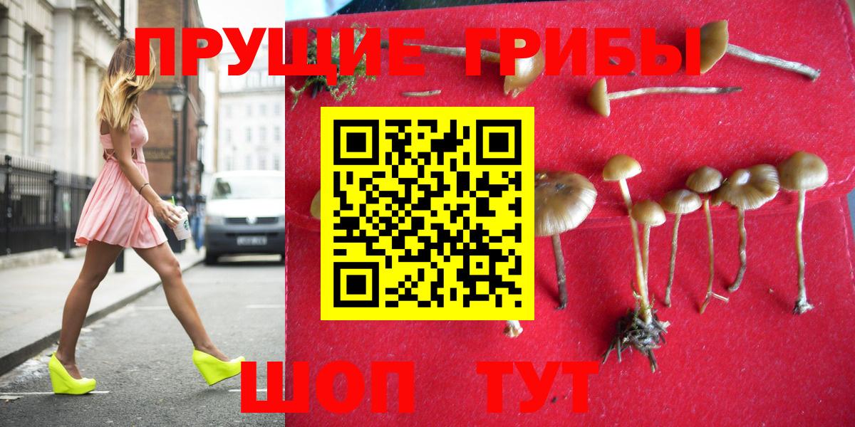 Владимир  Псилоцибиновые грибы Magic Shrooms  Вход с VPN 