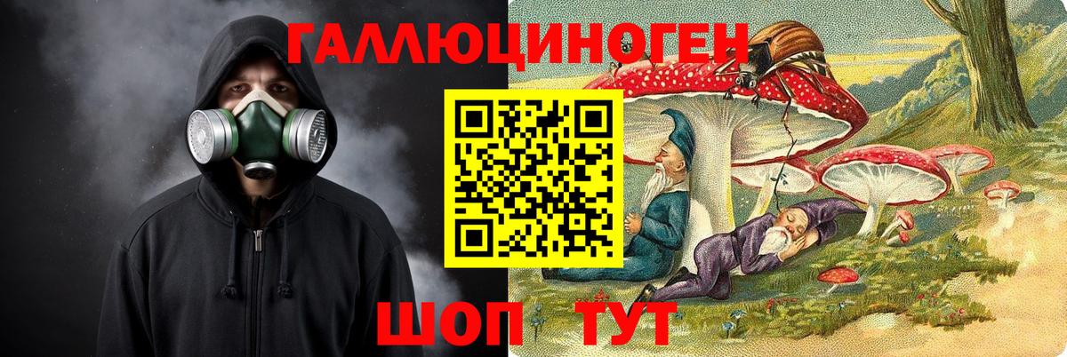 Псилоцибиновые грибы мухоморы Владимир